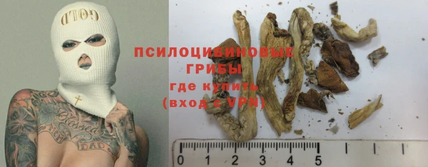 apvp Аркадак