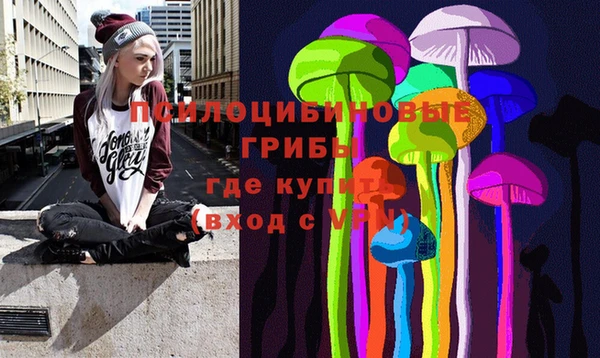 apvp Аркадак