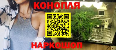 трава Бийск