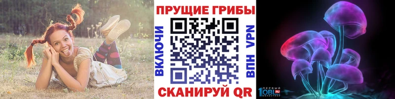 Псилоцибиновые грибы мухоморы  купить наркоту  Кирово-Чепецк 