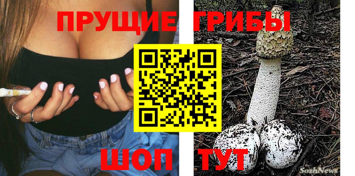 Кирово-Чепецк  Галлюциногенные грибы прущие грибы  Вход с VPN 