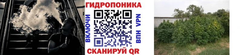 Каннабис индика Кирово-Чепецк